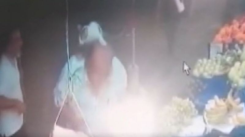 Sultangazi'de köpekten kaçan kedinin güldüren anları