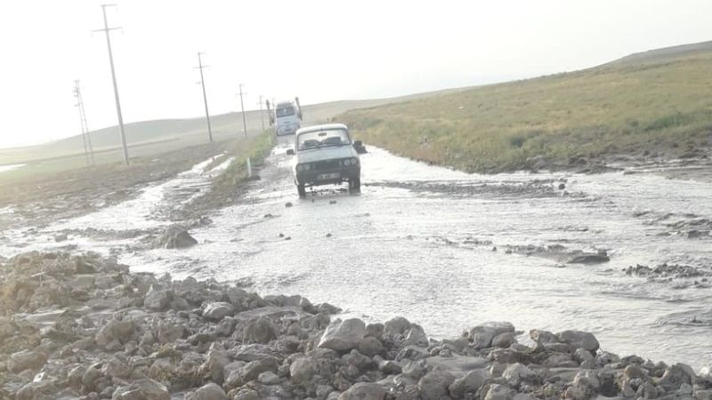 Ankara'da selde çok sayıda küçükbaş hayvan telef oldu