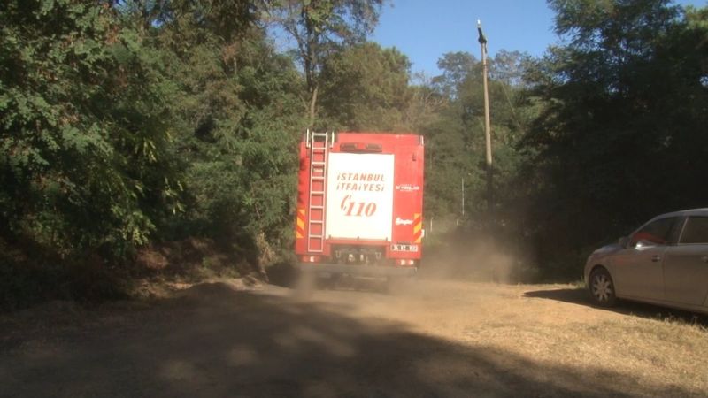 Anadolu Kavağı’nda yangın paniği