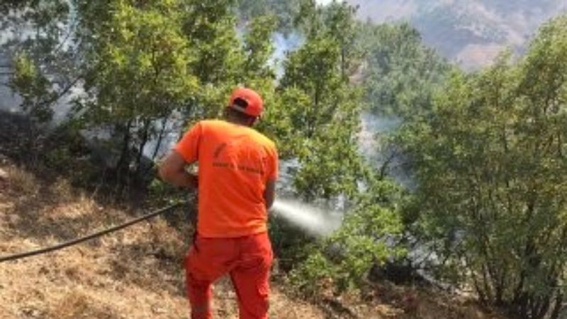 Şemdinli’de orman yangını kontrol altına alındı