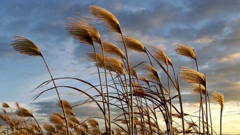 Sonbaharın habercisi: Mihrican Fırtınası nedir