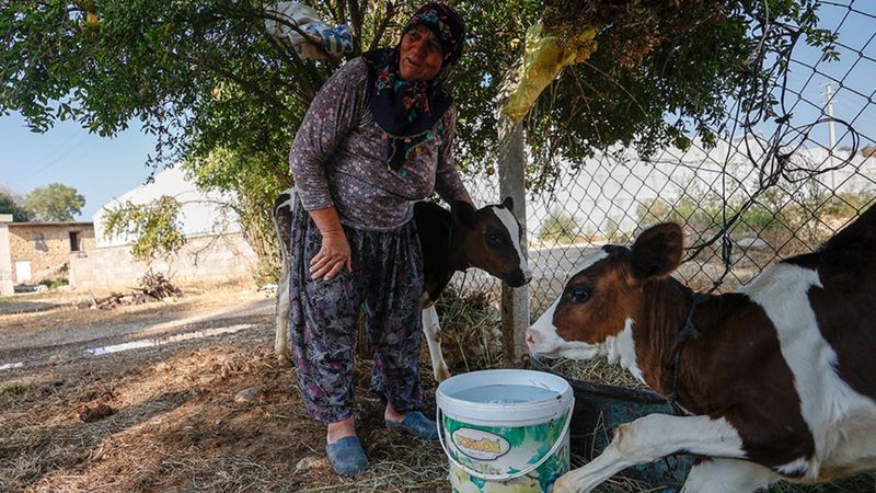 Manavgatlı Cemile Teyze, yangında yiten ameliyat parasına kavuştu