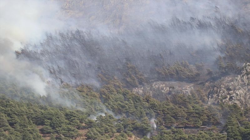 Hatay’da orman yangını çıktı