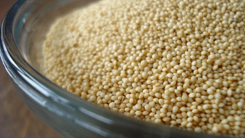 Protein bombası: Amaranth tohumunun mucizevi faydaları