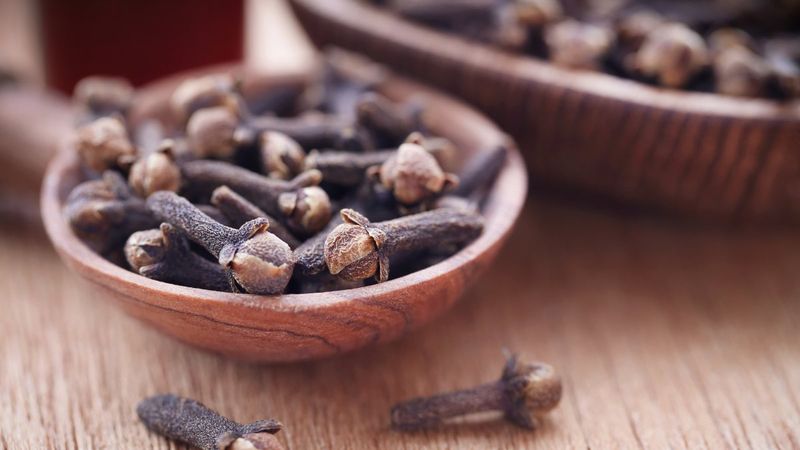 Her gün 1 bardak karanfilli su içmenin yararları