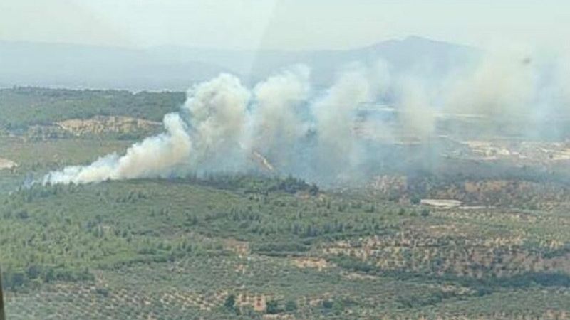 İzmir'de makilik yangınları