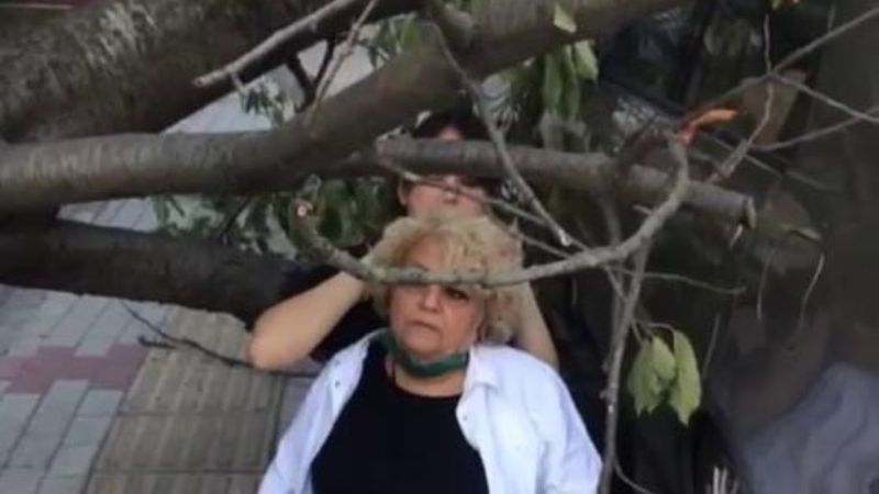 Bakırköy'de ağaç devrildi: Yaşlı kadın yaralandı