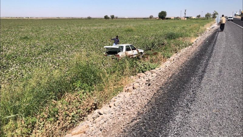Şanlıurfa’da, köpeğe çarpmamak manevra yapan otomobil takla attı