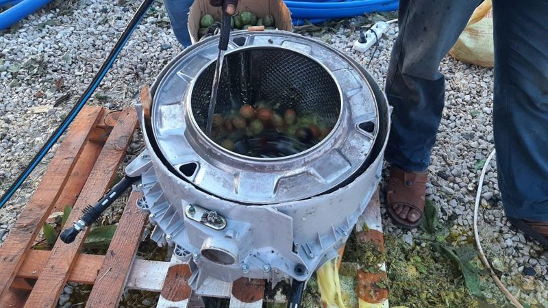 Osmaniye'de üç arkadaşın ilginç ceviz soyma makinesi