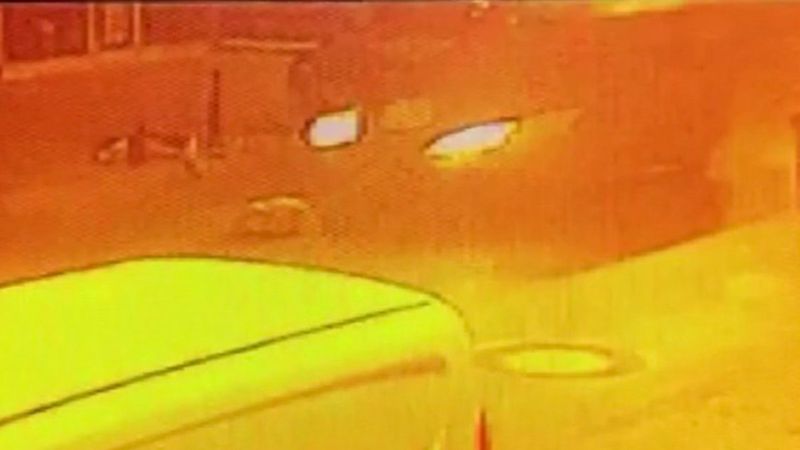 Beykoz’da yerde yatan köpeği ezip kaçtı