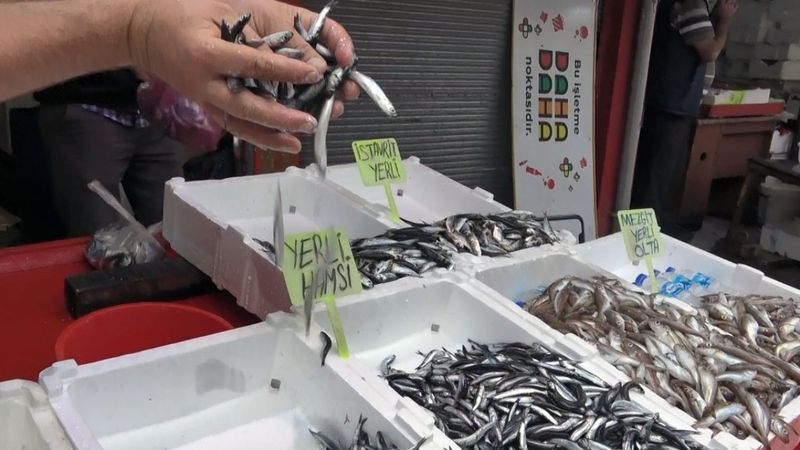 Giresun'da erken başlayan hamsi sezonunun bu yıl erken bitmesi bekleniyor