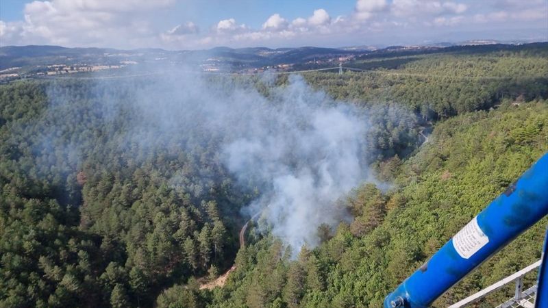 Balıkesir'de orman yangını