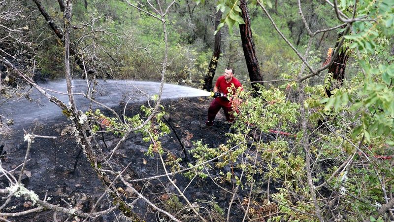 Karabük'te çıkan orman yangını kontrol altında