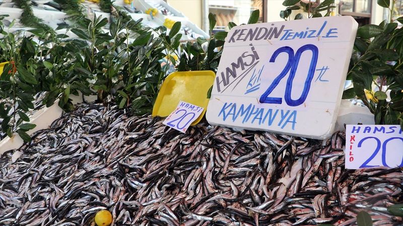 Hamsinin fiyatı 20 liraya indi