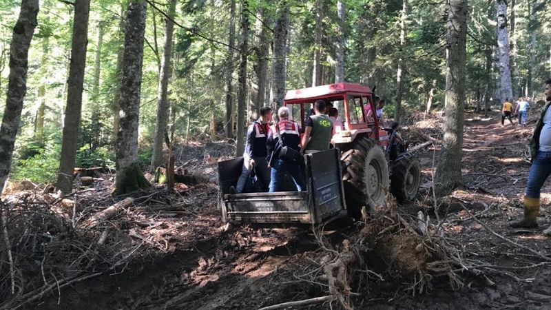 Düzce'de kestiği ağacın altında kalan kişi hayatını kaybetti