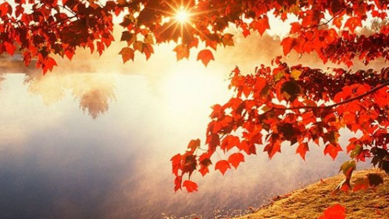 Pastırma yazı 2021: Pastırma sıcakları ne zaman, hangi ay başlayacak?