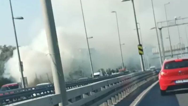 Altunizade’de ağaçlık alanda çıkan yangın söndürüldü