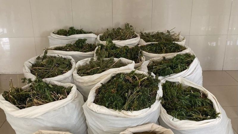 Bingöl’de 337 kilo esrar ele geçirildi