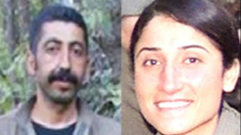 Turuncu ve gri kategorideki teröristler etkisiz hale getirildi