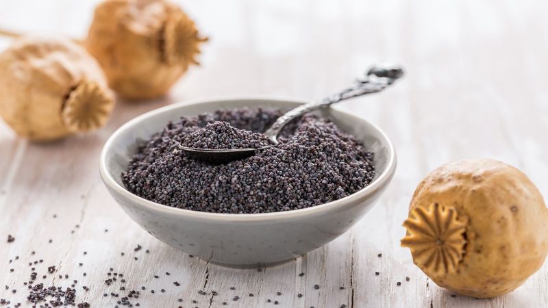 Yenilebilir 7 tohum ve inanılmaz faydaları