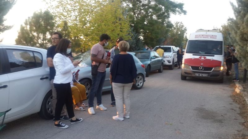 Ankara'da yola bırakılan yavru köpekler telef oldu