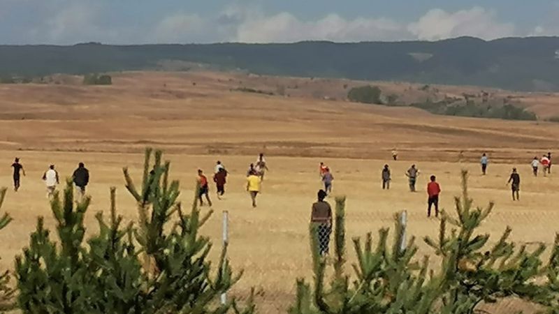 Bolu'da düzensiz göçmen operasyonu