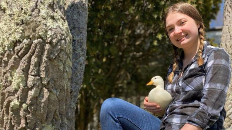 ABD'deki fenomen ördek ayda 4 bin 500 dolar kazanıyor