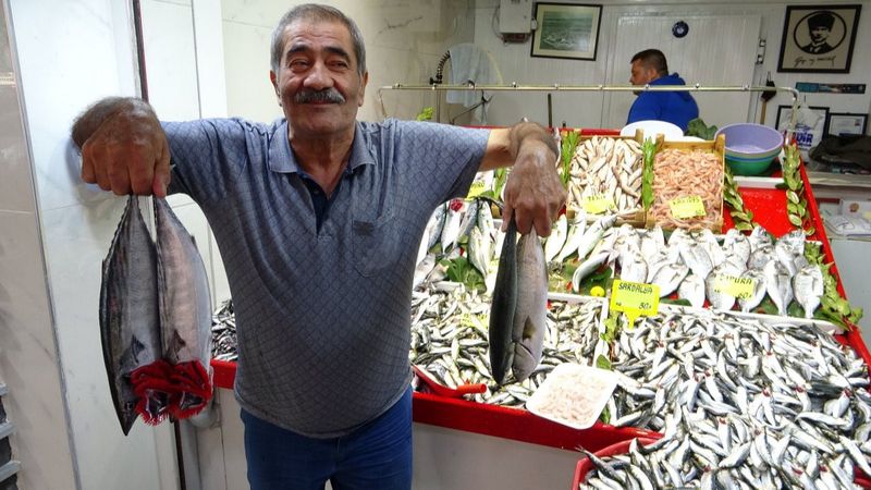 Çanakkale'de palamut, 45 liradan tezgaha serildi