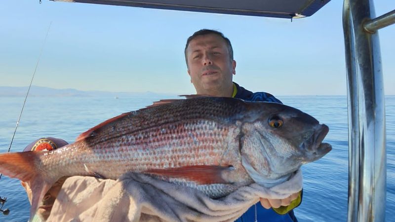 Çanakkale'deki amatör balıkçı, 10 kiloluk balık yakaladı