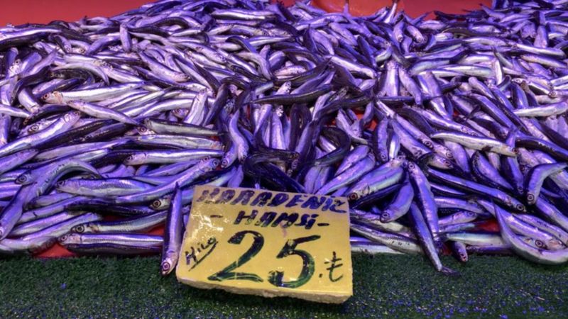 Eskişehir'de hava sıcaklığı ile birlikte hamsinin de fiyatı düştü