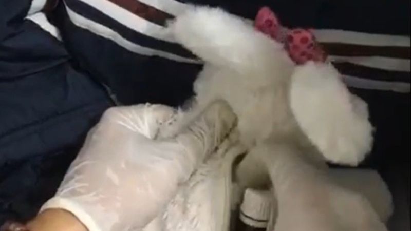 Konya'da oyuncağın içine uyuşturucu gizlediler