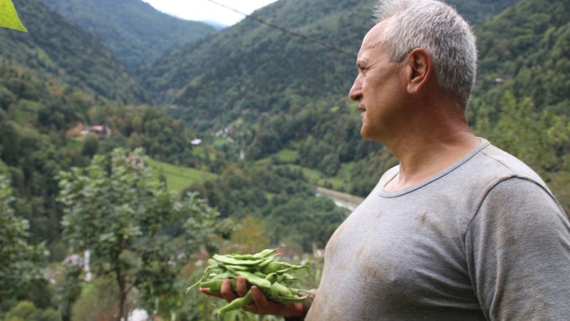 Myanmar’a gidemeyen büyükelçi, Rize’de bahçe işleri ile uğraşıyor