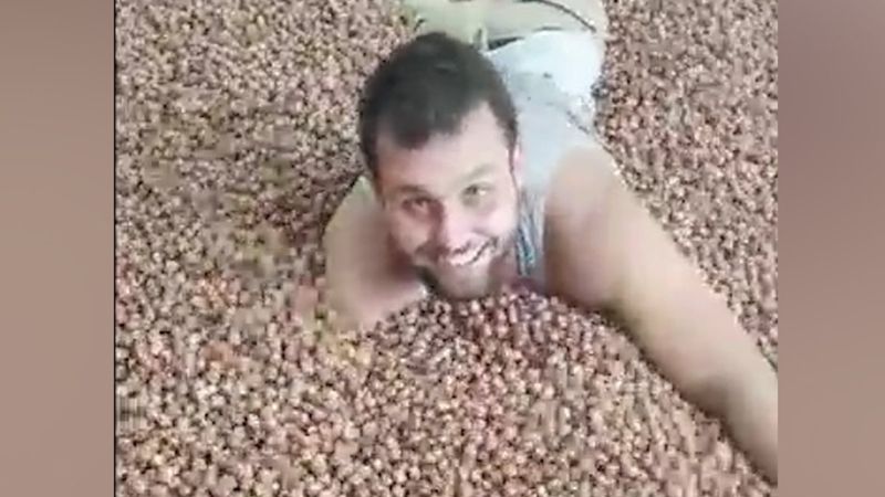 Ordu'daki TikToker, fındıkların içinde yüzüyor