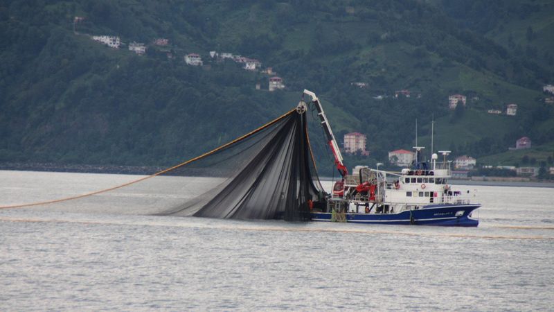 Artvin'de balıkçılar için palamut heyecanı başladı