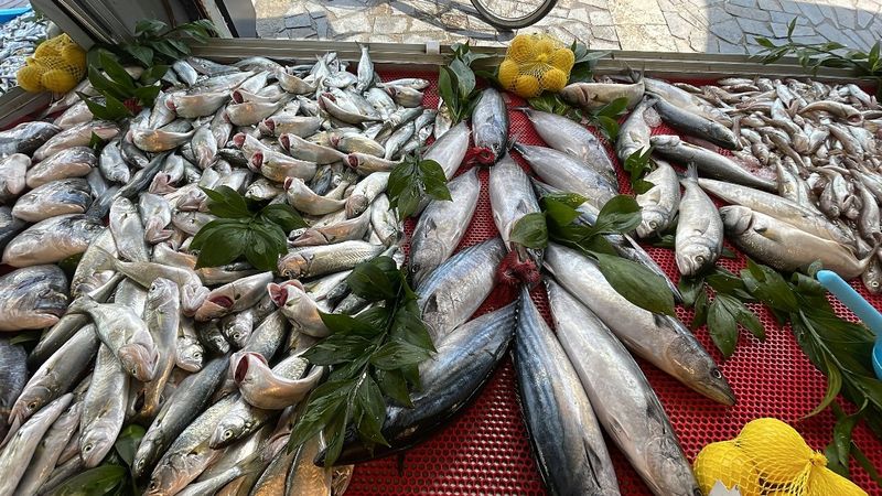 Batı Karadeniz'de hamsi azaldı, palamut tezgahtaki yerini aldı