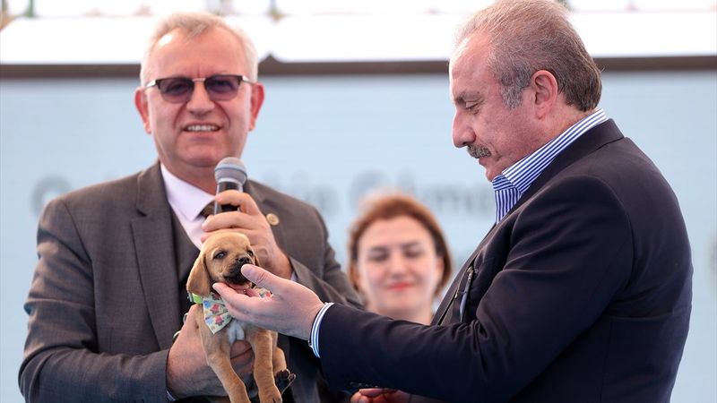 TBMM Başkanı Mustafa Şentop’a, sokak köpeği hediye edildi