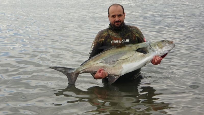 Çanakkale'deki dalgıç zıpkınla 1 buçuk metrelik balık avladı