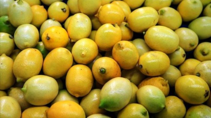 Eylülde fiyatı en fazla artan 'kömür ücreti', en çok düşen 'limon' oldu