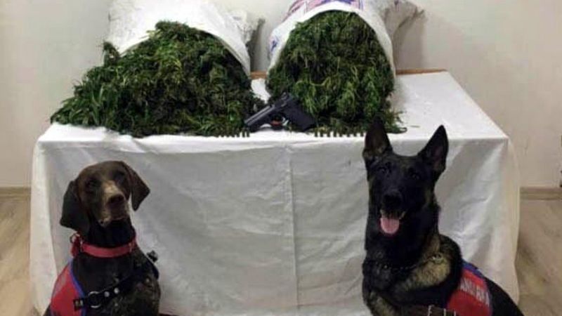 Denizli'deki adresten 18 kilo 840 gram esrar çıktı