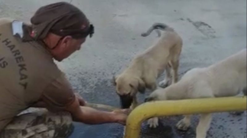 Malatya'da özel harekat polisi yaptığı hareketle yürekleri ısıttı
