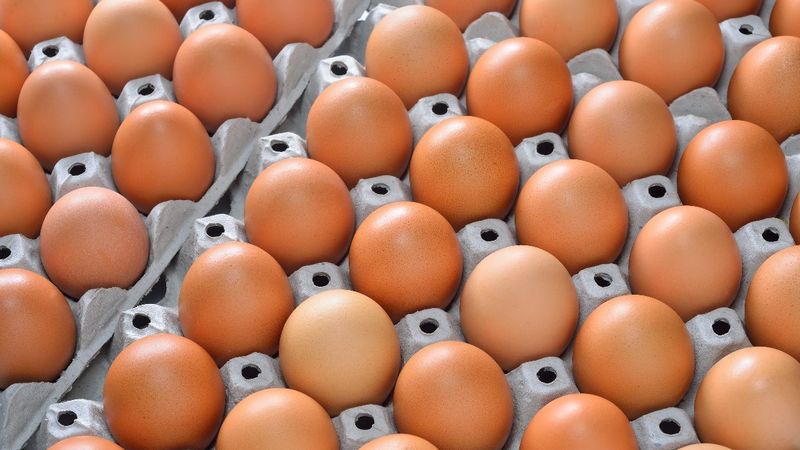 Kolaylıkla bulabileceğiniz en fazla D vitamini içeren 5 yiyecek