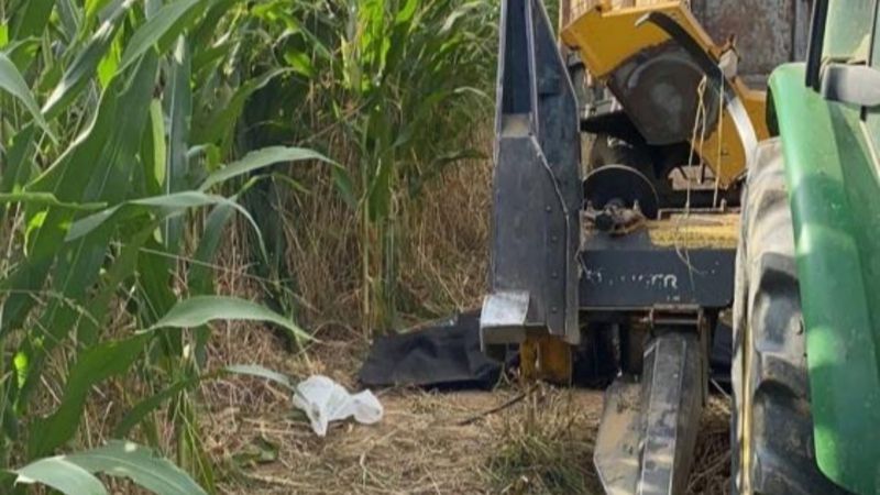 Manisa’da silaj makinesine kapılan 3 yaşındaki çocuk hayatını kaybetti