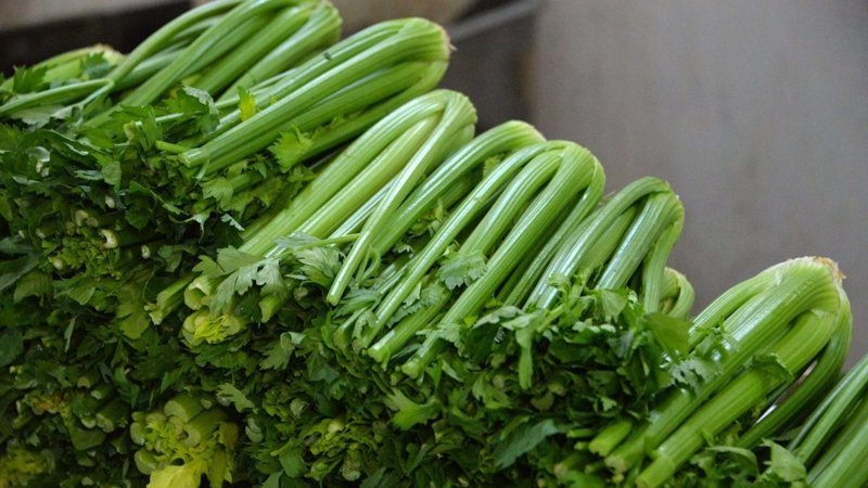 Detoksların kralı: Kereviz sapını atmamanız için 10 sebep