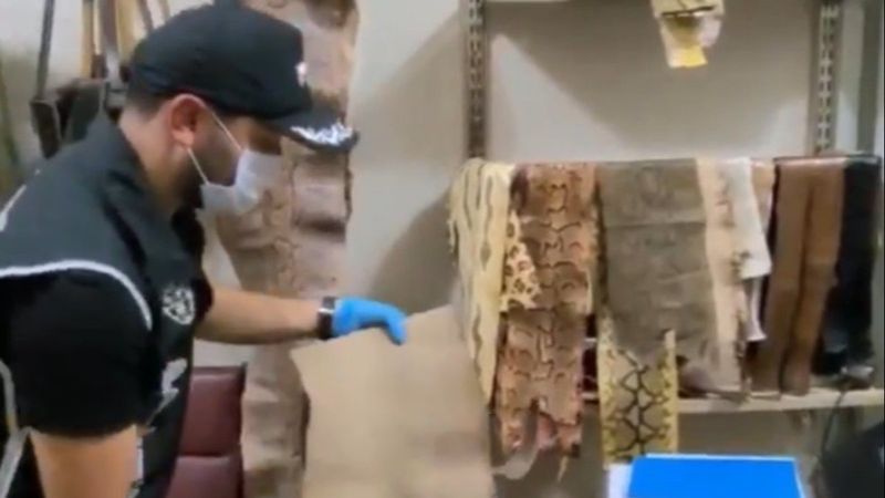 İzmir’de, kaçak yılan derileri ele geçirildi
