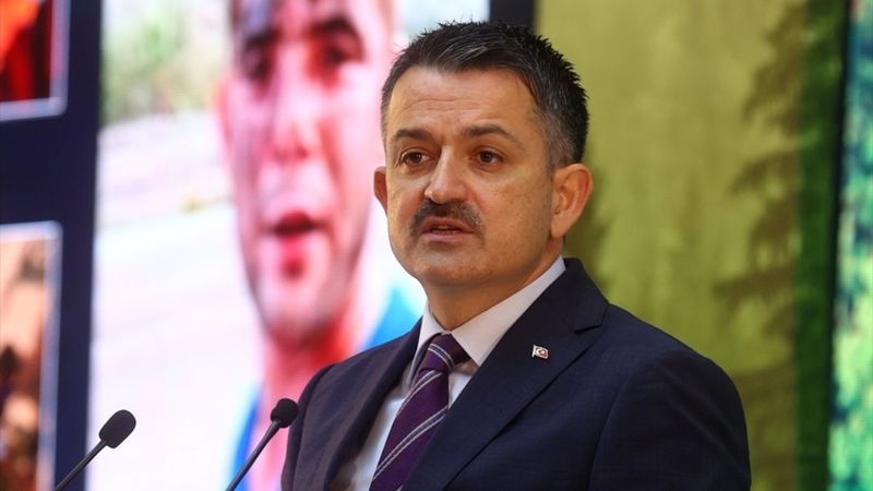 Bekir Pakdemirli: Yanan alanları tekrar ağaçlandıracağız