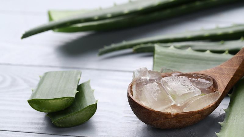 Sabahları aloe vera jeli tüketmenin 4 mucizevi etkisi