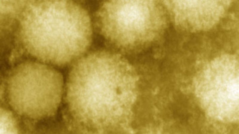 Yezo virüsü nedir, belirtileri nelerdir? Yeniden hortladı!