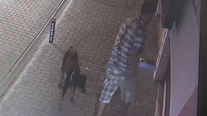 Muğla’da, dükkanın önündeki mama kaplarını çaldı