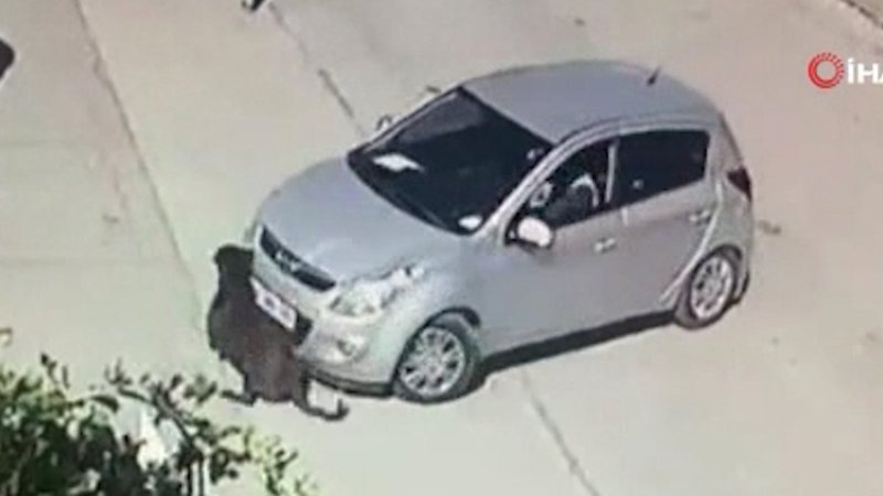 Ankara'da aracını kaldırımda yatan köpeğin üzerine sürdü