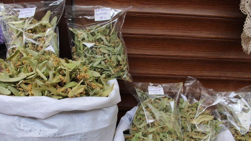 Kışın şifa amaçlı içilen ıhlamurun kilosu 400 liradan satılıyor